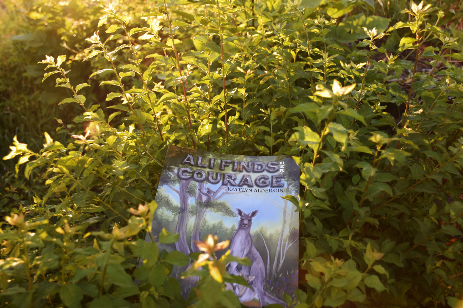 The book 'Ali Finds Her Courage' by Katelyn is lying among the green leaves of a tree.